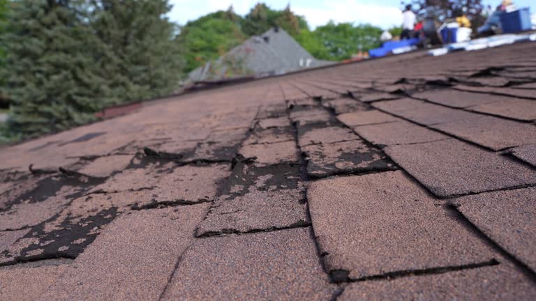 Best Emergency Roof Repair Services  in Emerald Isle, NC